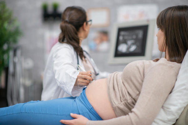 Prepregnancy and Early Pregnancy Care